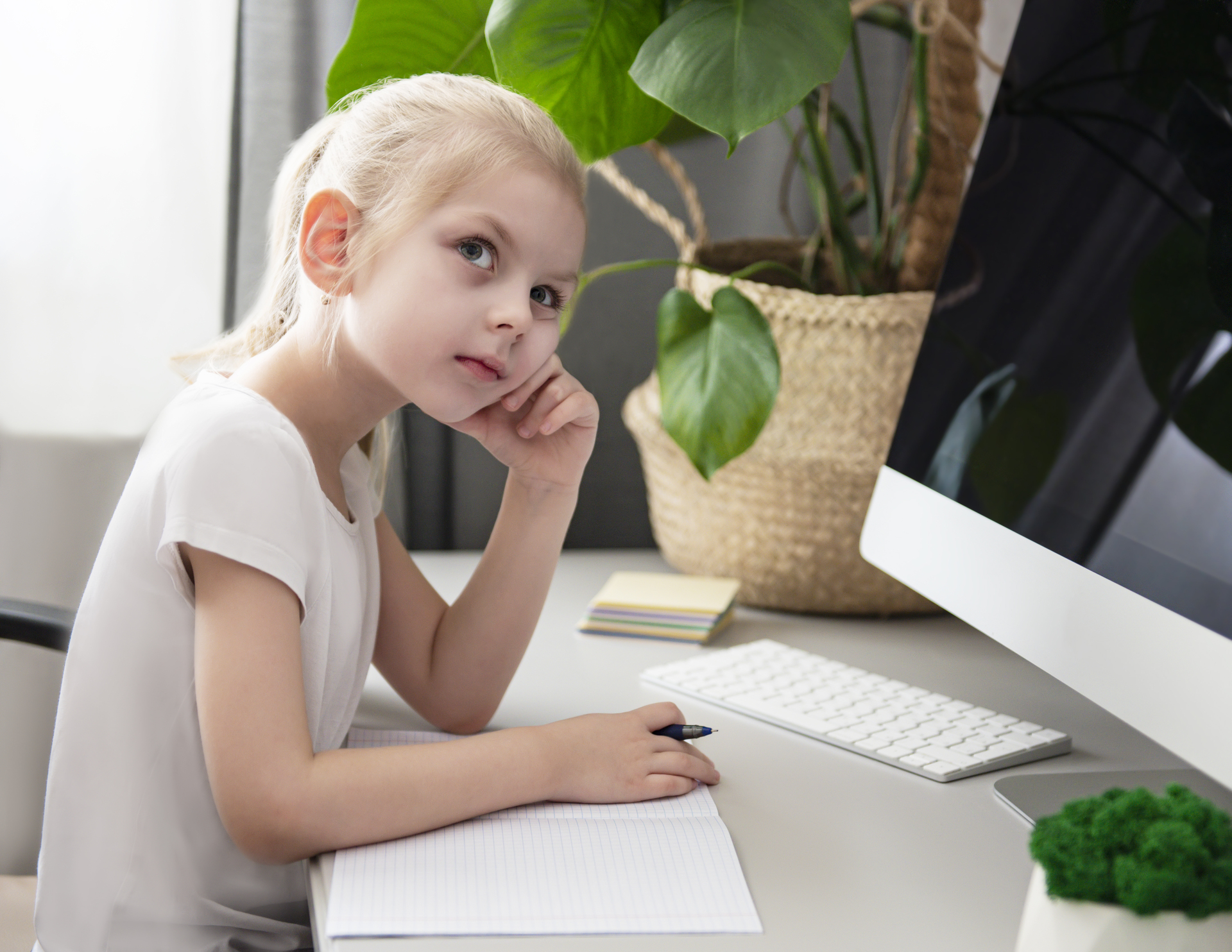 special education support, IEP ADVOCACY